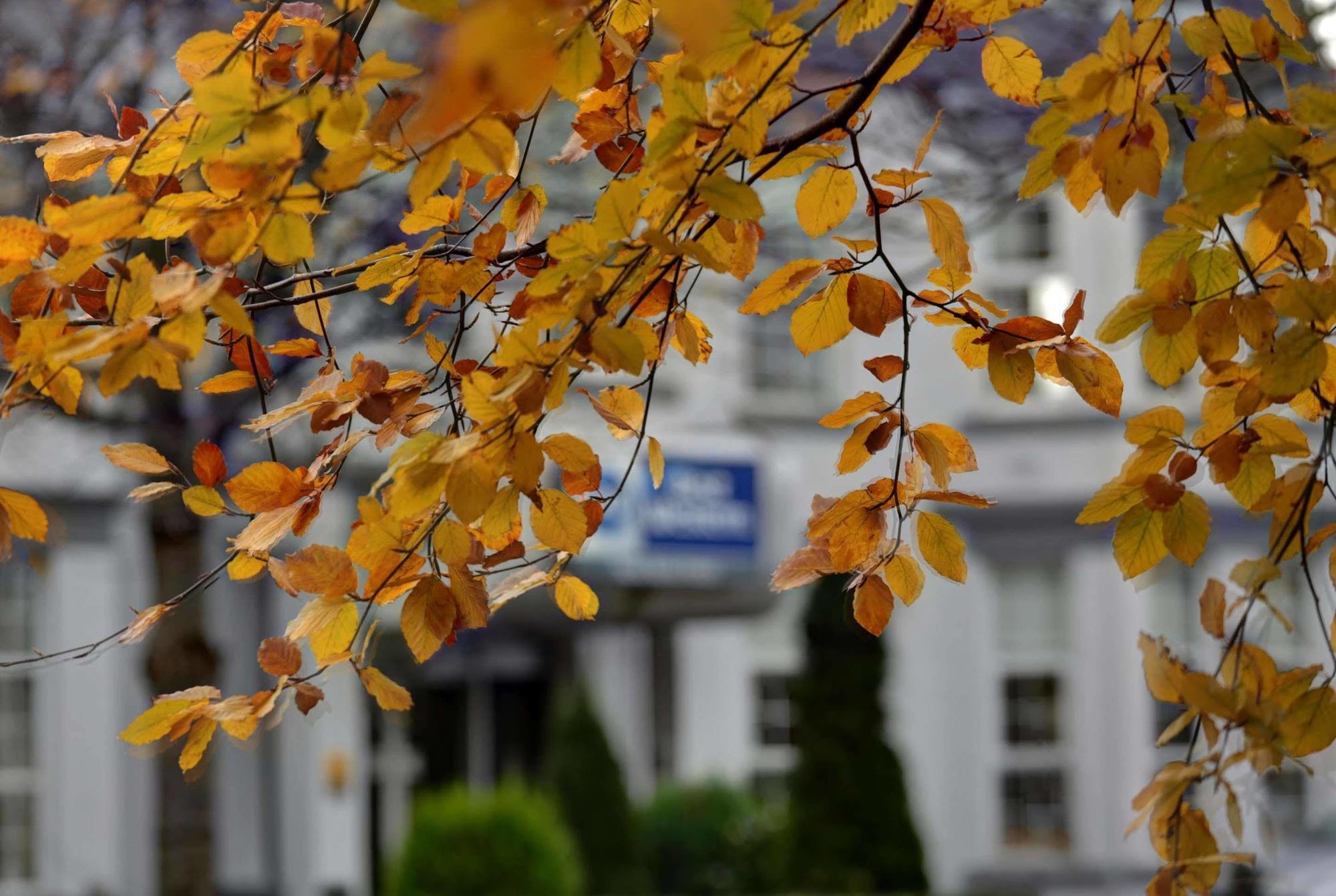 Best Western New Kent Hotel Newcastle Upon Tyne Kültér fotó